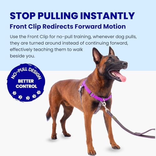Freedom No Pull Dog Harness, Purple, Large - Image 2