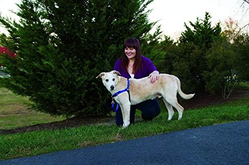 PetSafe Easy Walk Harness Small/Medium Red/Black for Dogs - Image 6