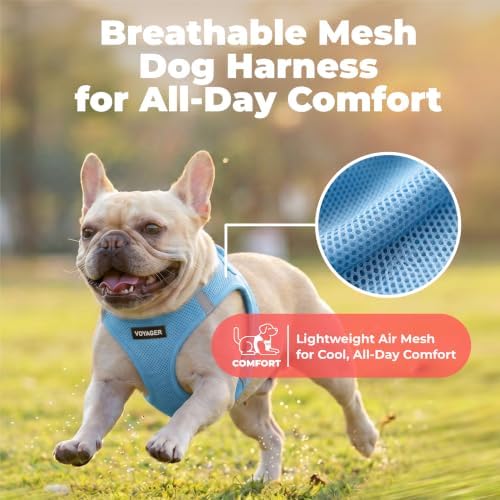 Voyager Step-in Air Dog Vest Harness - Sky Blue, XX-Small - Image 5