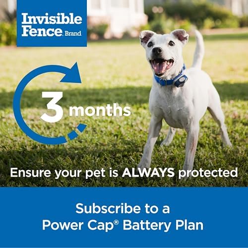 Invisible Fence Brand Power Cap Battery, 1-Pack - Image 5