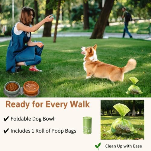 2-in-1 Collapsible Dog Travel Bowl Portable Silicone Carabiner - Image 2