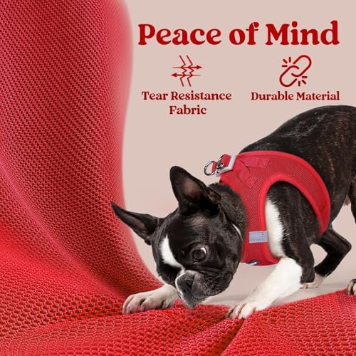 rabbitgoo Step-in Small Dog Harness, Puppy Vest for Small Sized Pet - Image 4