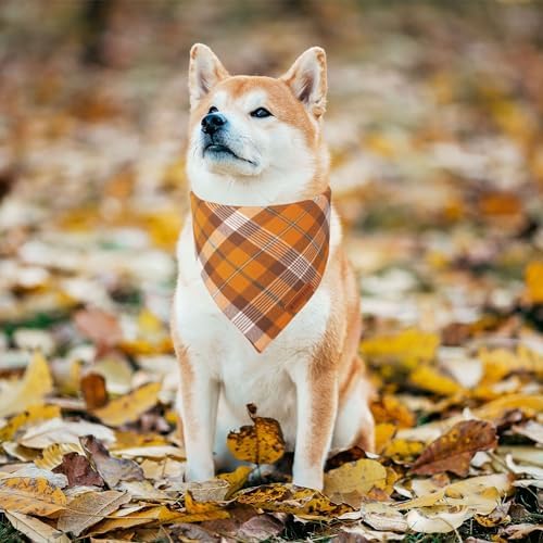 ADOGGYGO Fall Thanksgiving Dog Bandanas, Orange Plaid Dog Scarf, Large - Image 2