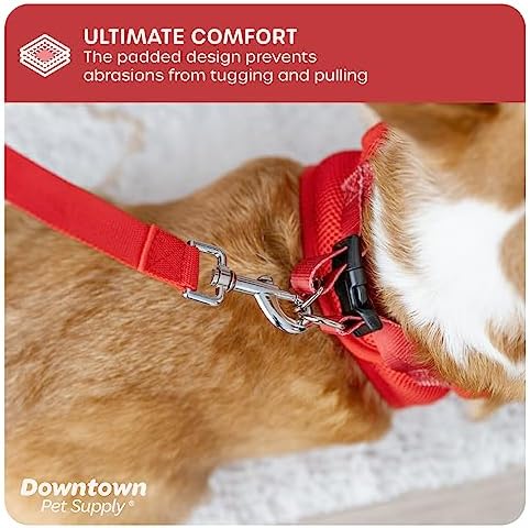 Downtown Pet Supply Step-in Dog Harness – No Pull, Adjustable Padded Mesh with Reflective Trim, Secure Buckle Strap – Comfortable & Breathable Small Dog Harness, X-Small, Red - Image 6