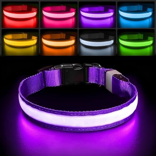 PcEoTllar Light up Dog Collar, for Night Walking, Adjustable, Purple, L by PcEoTllarPetSupplies