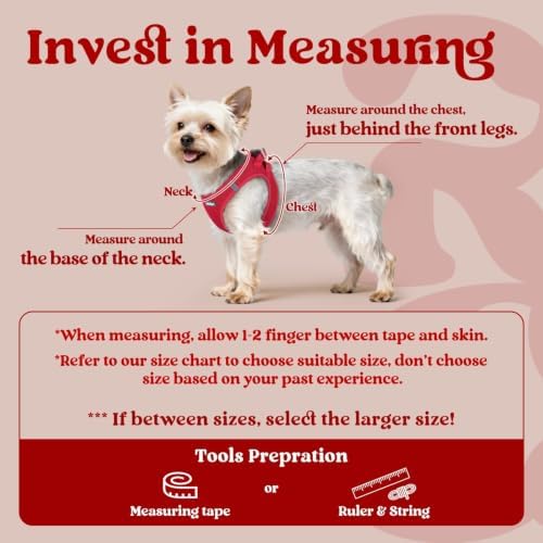 rabbitgoo Step-in Small Dog Harness, Puppy Vest for Small Sized Pet - Image 2