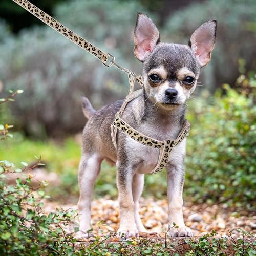 Mile High Life Leopard Dog Harness Collar Leash Set, Adjustable No Pull Dog Halter Harness for Small Breed Dogs, Easy Control for Training Walking (Beige, M Chest 15"-21", Neck 13"-17") - Image 3