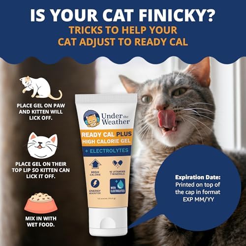 Under the Weather Pet Electrolytes Ready Cal Plus Gel for Cats | Vet-Formulated High-Calorie Supplement for Cats & Kittens | Promotes Weight Gain & Boosts Energy for Sick Felines | 3.5 Oz Tube Pack - Image 6