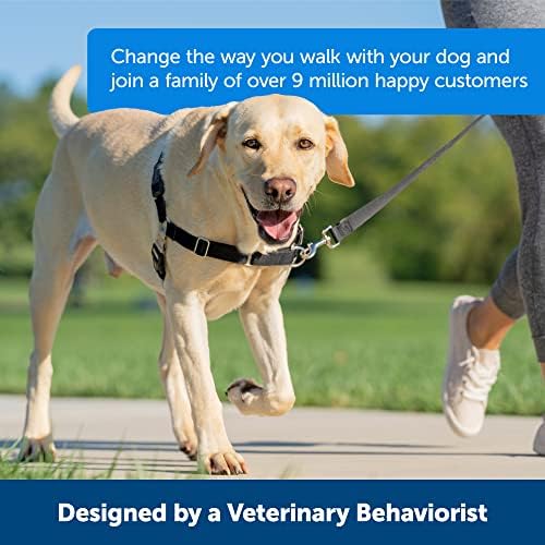 PetSafe Easy Walk No-Pull Dog Harness - Ultimate Harness to Help Stop Pulling - Pull-Free Walks - Take Control & Teach Better Leash Manners - Patented Martingale Loop Design - Raspberry, X-Large - Image 3