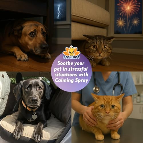 Bodhi Dog Calming Spray for Dogs & Cats - Natural Dog Anxiety Relief for Travel, Fireworks & Vet - Cat Calming Spray & Detangler with Lavender - Made in USA (8 oz) - Image 3