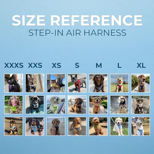 Best Pet Supplies Voyager Step-in Air All Weather Mesh Harness and Reflective Dog 5ft Leash Combo with Neoprene Handle, for Small, Medium and Large Breed Puppies - Baby Blue, XX-Small - Image 6