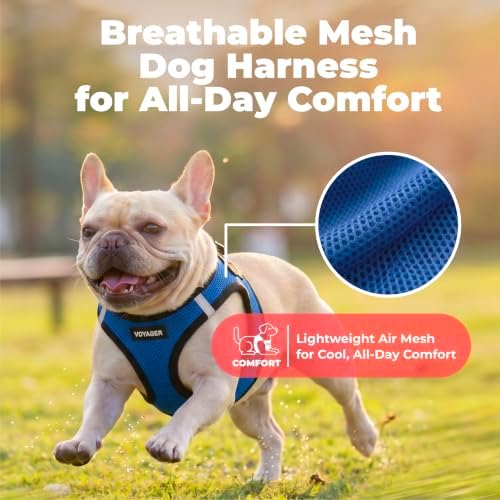 Voyager Step-in Air Dog Vest Harness - Royal Blue/Black Trim, Medium - Image 5