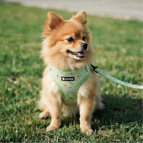 Dog Harness and Leash Set, Adjustable Dog Harness, Dog Leash, No Pull No Choke Puppy Harnesses for Walking Training for Small Medium Pet - Image 5
