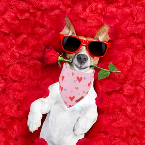 ADOGGYGO Valentine Dog Bandana, Blue Pink Heart Pet Scarf, Premium Durable Fabric, Adjustable Fit Pet Valentine Bandanas for Medium Large Dogs (Large) - Image 2