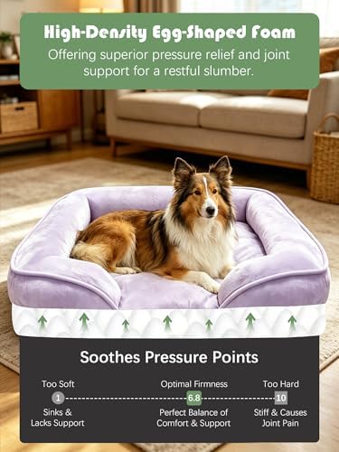 Spotted Play Orthopedic Dog Bed with Sides - Sofa Beds for Large Dogs, Supportive Foam Pet Couch Bed with Washable Removable Cover, Waterproof Lining and Non-Slip Bottom, Purple - L-Plus - Image 4