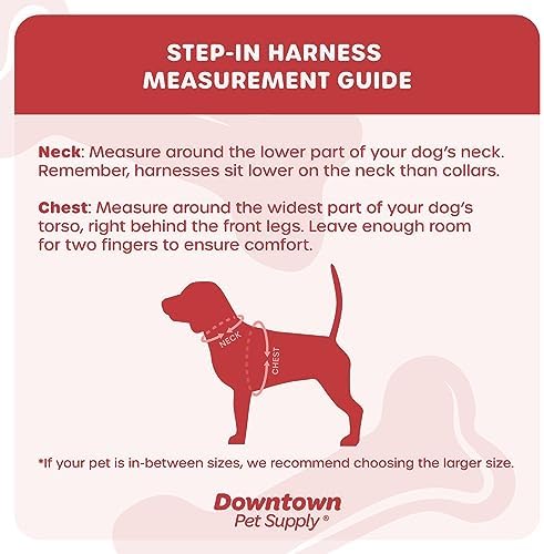 Downtown Pet Supply Step-in Dog Harness – No Pull, Adjustable Padded Mesh with Reflective Trim, Secure Buckle Strap – Comfortable & Breathable Small Dog Harness, Small, Pink - Image 2