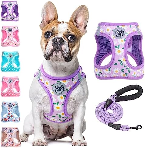 BEAUTYZOO Large Dog Harness and Leash Set,No Pull Puppy Pet Vest - Daisy, L by BEAUTYZOO