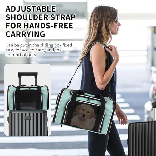 Carriers Soft-Sided Large Pet Carrier for Cats Dogs Small Animals Up to 25Lbs,Top Load Carrier,Ventilated Design,Portable Cat Carrier Airline Approved(X-Large,Green) - Image 6