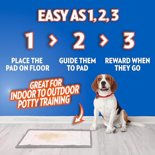 OUT! PetCare XXL Puppy Pads, Heavy Duty Pee Pads for Dogs, 26x30, 30 Count - Image 6
