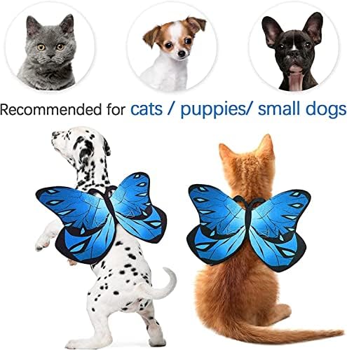 Pet Cat Bat Wings for Halloween Party Decoration, Puppy Collar Leads Cosplay Bat Costume,Cute Puppy Cat Dress Up Accessories - Image 6
