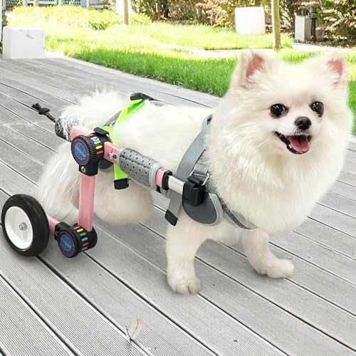 Dog Wheelchair for Back Legs, Adjustable Mobility Cart for Dog by Everystepfilledwithfreedom