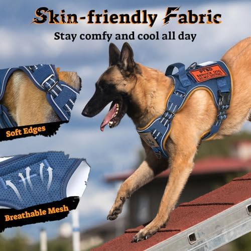 rabbitgoo Tactical Dog Harness for Small Dogs, No Pull Service Pet Vest - Image 4