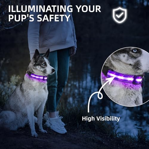 Super Bright LED Dog Collar - Fully Waterproof & Adjustable Glow Collar - USB-C Rechargeable for Night Walking, Safety - Flashing Lighted Collar for Dogs(Purple,Large) - Image 3
