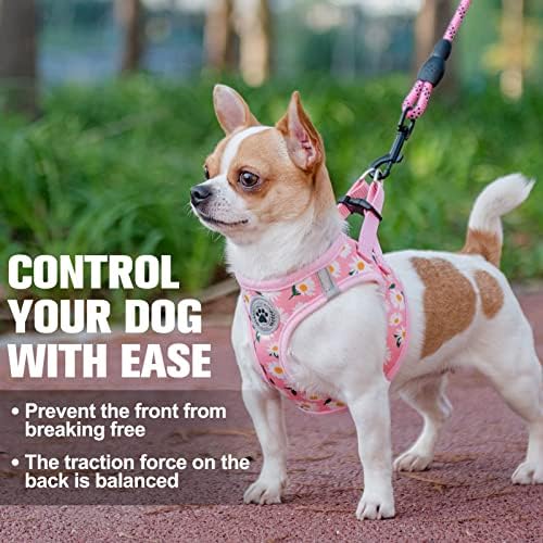 BEAUTYZOO Small Dog Harness and Leash Set,No Pull Puppy Pet Vest-Daisy, XS - Image 6