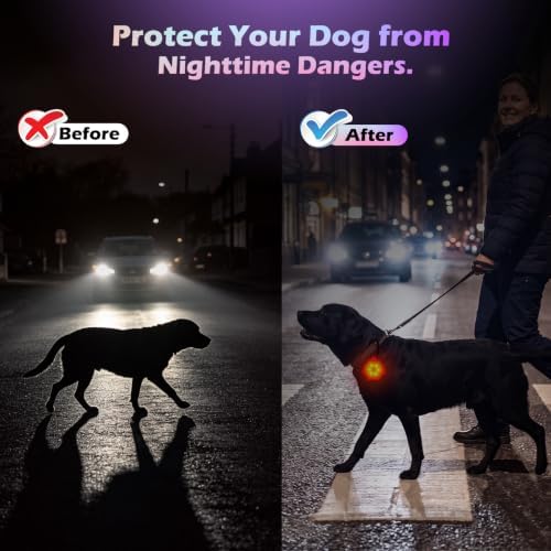 NOVKIN 2 Pack LED Dog Collar Light, 7-Color Changing USB Rechargeable Dog Night Lights for Walking, Waterproof High Visibility Clip on Safety Light for Dog Collars, Harnesses & Leashes - Image 2
