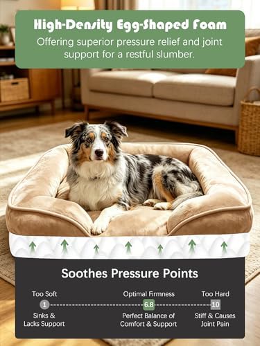 Spotted Play Orthopedic Dog Bed with Sides - Sofa Beds for Large Dogs, Supportive Foam Pet Couch Bed with Washable Removable Cover, Waterproof Lining and Non-Slip Bottom, Brown - L - Image 4