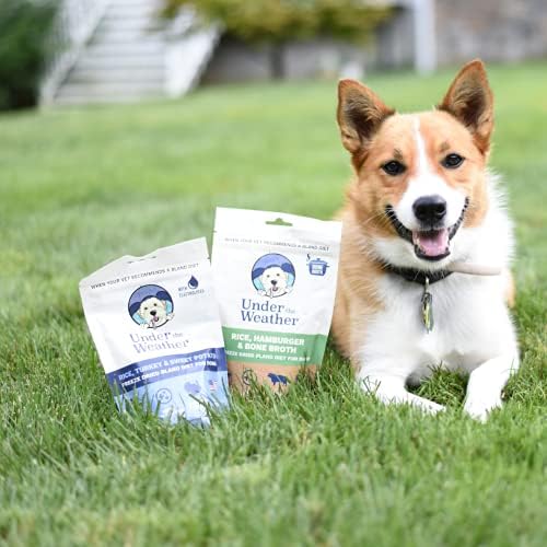 Under the Weather Bland Diet for Dogs | Easy to Digest for Sick Dogs | Always Be Ready | Contains Electrolytes - All Natural Freeze Dried 100% Human Grade Meats | 6 Pack - Multiflavor - 6oz - Image 4