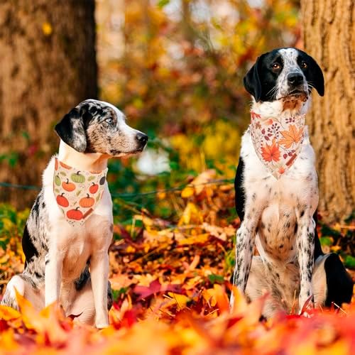 ADOGGYGO Fall Dog Bandana, Pumpkin Maple Leaf Fall Bandana for Dog, Large - Image 3