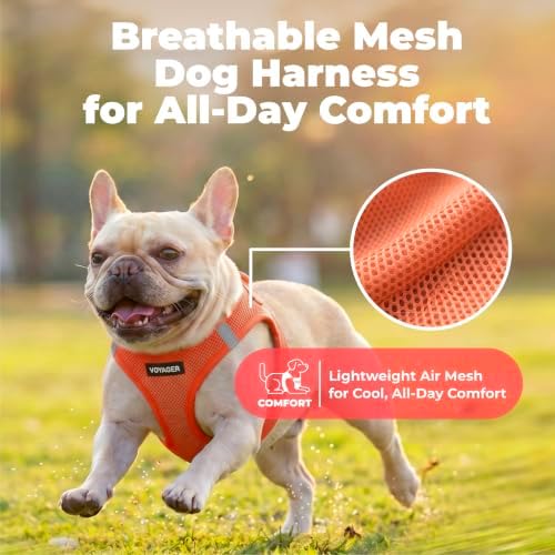 Voyager Step-in Air Dog Vest Harness - Orange, Small - Image 6
