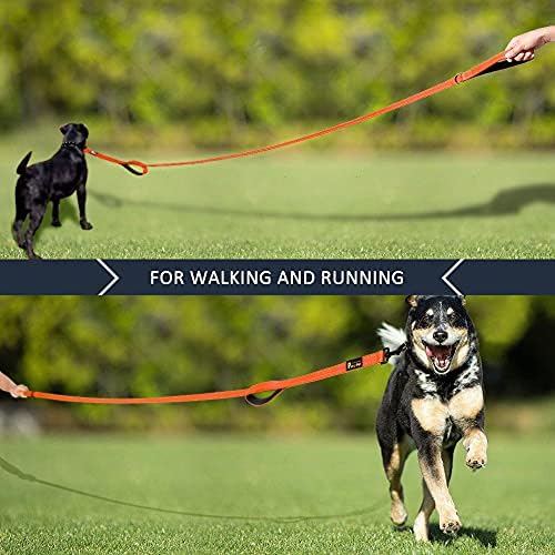 Plutus Pet Double Handle Dog Leash, 6 FT Long, for Medium Large Dogs - Image 6