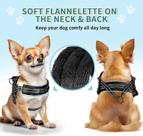 SlowTon No Pull Small Dog Harness and Leash Set with Front Clip - Image 2