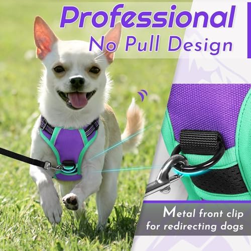 Eagloo Dog Harness for Small Dogs, No Pull Pet Vest with 2 Leash Clips - Image 2