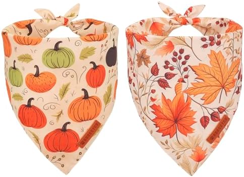 ADOGGYGO Fall Dog Bandana, Pumpkin Maple Leaf Fall Bandana for Dog, Large by ADOGGYGO