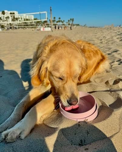 Barkin’ Trails Travel Dog Bowls, Portable Outdoor Water, BPA-Free Water Bowl Set, Food Grade Plastic Dog Travel Bowl, Dog Camping Essentials, Travel Container - Image 5