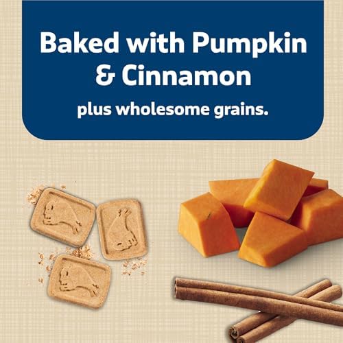 Blue Buffalo Health Bars Pumpkin & Cinnamon Crunchy Dog Biscuits, Oven-Baked with Pumpkin & Natural Ingredients, Healthy Dog Treats with No Artificial Flavors or Preservatives, 16 oz. (Pack of 4) - Image 5
