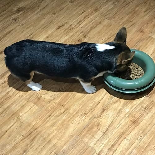 The Mote - Ant Proof Dog Bowl, Innovative Waterless System, Durable & Maintenance-Free, Simple Design Effectively Keeps Ants Out, for Dogs, Cats, and More - Image 5