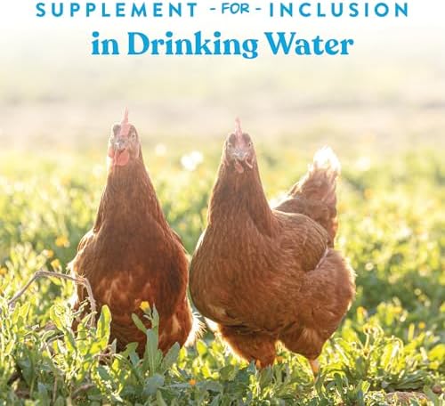 Manna Pro Hydro-Hen Poultry Electrolyte, Digestive & Probiotic, 8 oz - Image 4