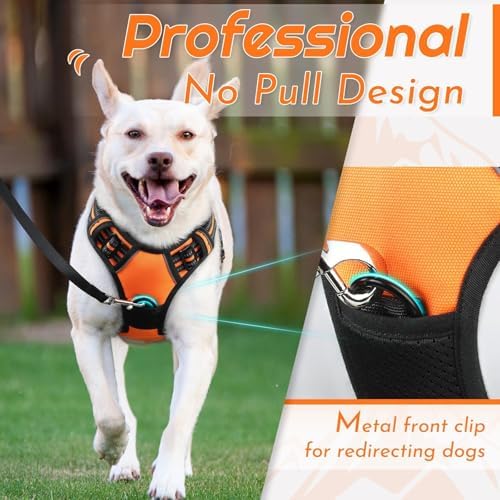 Eagloo Dog Harness for Small Dogs, No Pull Pet Vest with 2 Leash Clips - Image 3