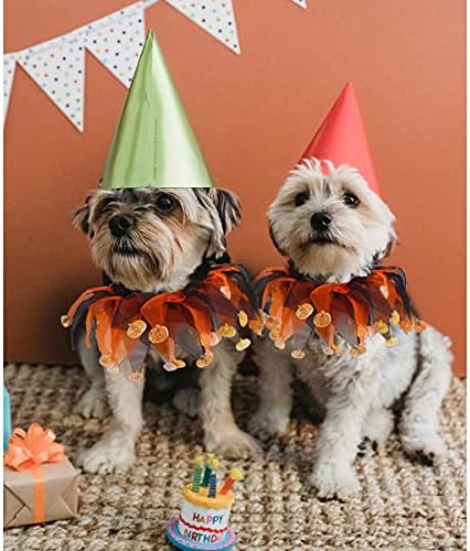 Cat Witch Halloween Costume Suit, Hmxpls Small Dogs & Cats Tutu Collar and Witch Pumpkin Hat Cute Costume Suit Kitten Outfit Clothing for Birthday Party Thanksgiving Christmas Holiday - Image 4