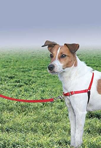 PetSafe Easy Walk Harness, No Pull Dog Harness, Red, Small/Medium - Image 2