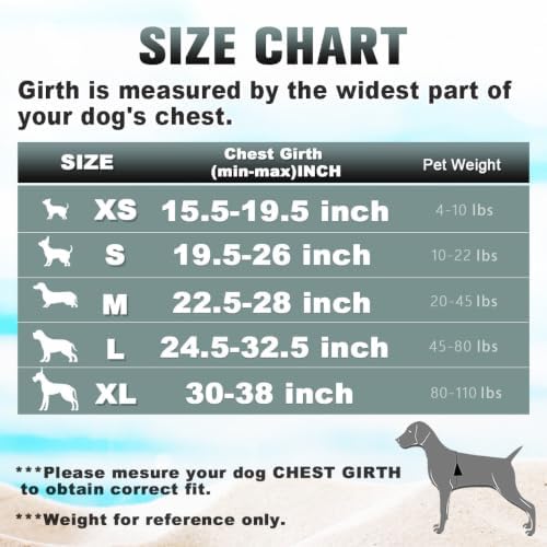 BARKBAY Dog Harness for Small Sized Dog No Pull Dog Vest ID Tag Pocket - Image 5