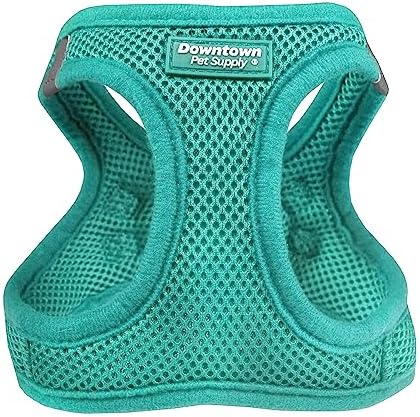 Downtown Pet Supply Step in Dog Harness for Small Dogs No Pull, X-Small, Bermuda Blue - Adjustable Harness with Padded Mesh Fabric and Reflective Trim - Buckle Strap Harness for Dogs by DowntownPetSupply