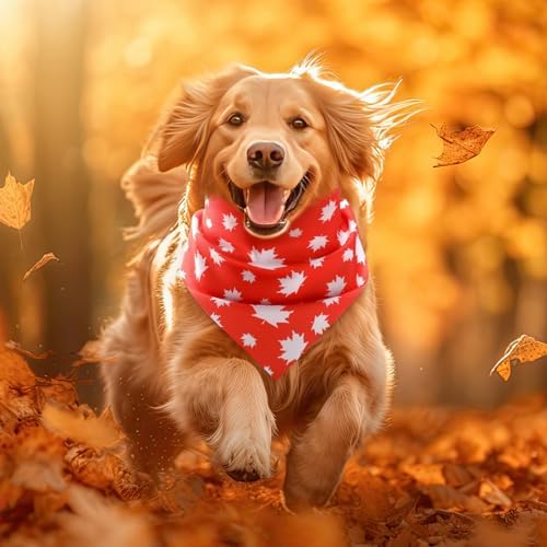 Weewooday 50 Pcs Fall Thanksgiving Dog Bandanas Bulk, Medium Pets Charm - Image 4