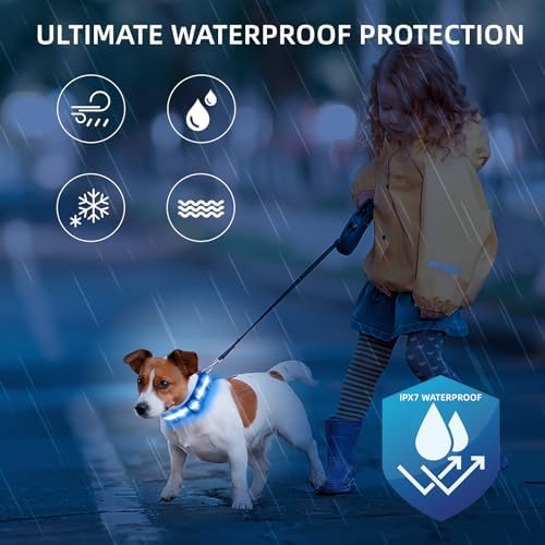 Super Bright LED Dog Collar, Waterproof Light up Collars(Blue, Small) - Image 3