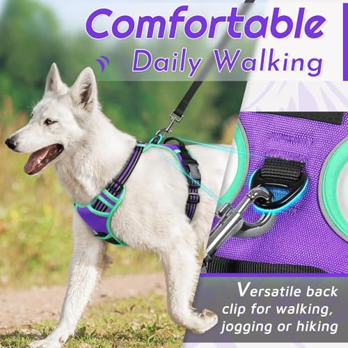 Eagloo Dog Harness for Large Dogs, No Pull Pet Vest with 2 Leash Clips - Image 3