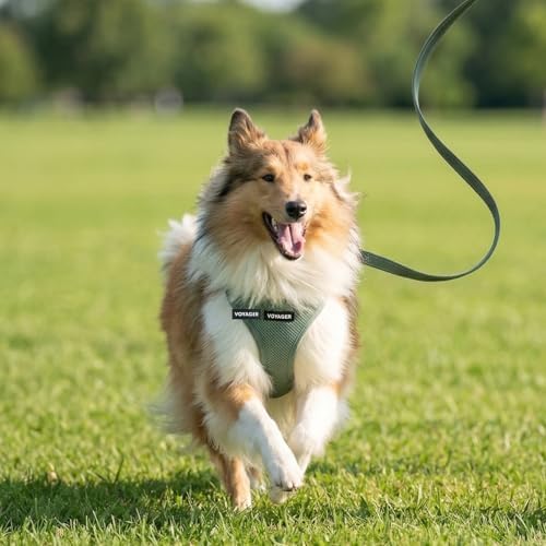 Best Pet Supplies Voyager Step-in Air All Weather Mesh Harness and Reflective Dog 5ft Leash Combo with Neoprene Handle, for Small, Medium and Large Breed Puppies - Moss Green, XXXS - Image 7